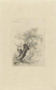 Salgueiro de Remigius Adrianus Haanen