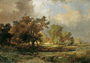 Motiv de Oosterhout na Holanda