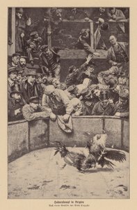 Luta de galos na Flandres (litografia) de Remy Cogghe