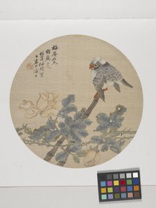 Flower And Bird (tinta e cores sobre papel) de Ren Yi (1840 96)