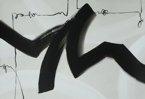 Fluxo dinâmico de tinta preta de Renate Holzner