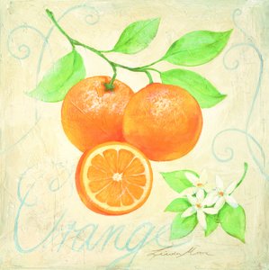 Laranjas frescas e flores de laranjeira de Renate Holzner