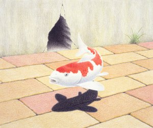 Carpas de Rene Boin