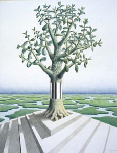 Suculentas de Rene Boin