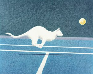 Ténis de Rene Boin