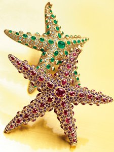 Dois broches de estrela do mar