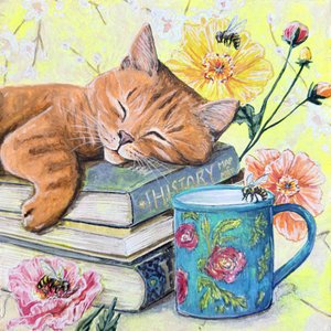 Gato a dormir entre livros de Renee Machan Cottagecore Artist