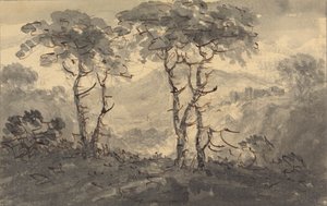 Árvores de Abeto numa Paisagem de Montanha