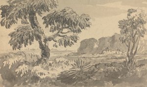 Paisagem com Duas Árvores e Penhasco de Rev. William Gilpin