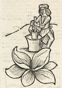 Homem Medieval usando um pilão e argamassa para esmagar plantas de John Pardon