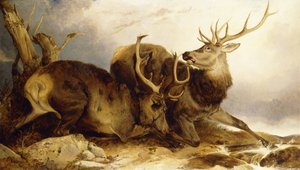 O Combate, 1847