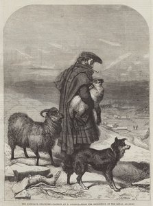 O pastor das montanhas