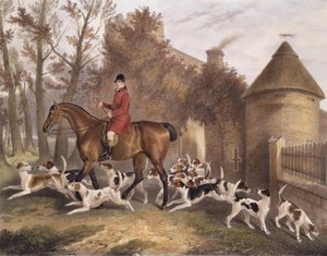 W. Sebright, Caçador dos Milton Hounds, gravado por JW Giles, 1839