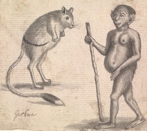Macacos (um de três em um monte)