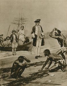 Como o Capitão Cook foi recebido na Tasmânia (gravura) de Richard Caton Woodville junior