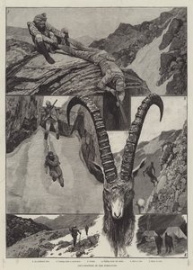 Ibex-tiro na gravura do Himalaia de Richard Caton Woodville junior