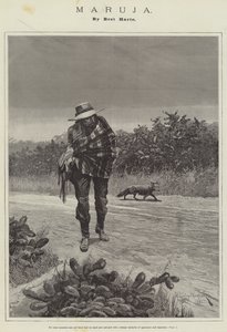 Maruja, de Bret Harte