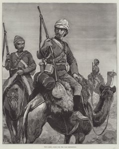 O Corpo de Camelos para a Expedição do Nilo