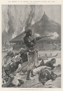 A abertura da Nigéria, a Expedição contra os Aros