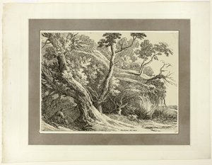 Paisagem com árvores grandes, da primeira edição de Specimens of Polyautography de Richard Cooper II