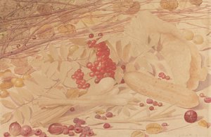 Natureza Morta com Groselhas, Framboesas, Groselhas Vermelhas, Cebolas de Primavera, um Cornicho e Folhagem de Richard Dadd