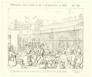 1849, uma perspectiva dos jardins da Societys Zoological de Richard Doyle