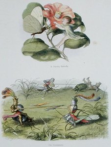 A Dancing Butterfly, e The Tournament, ilustrações de 