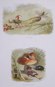 Elfos Cruéis, e Os Duendes Adormecidos, ilustrações de 