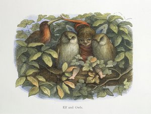 Elfos e corujas de Richard Doyle