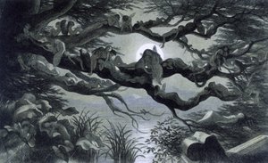 Taxas, ninfas e elfos são reposant au clair de lune sur une branche? Ilustração de "Na terra das fadas". Uma série de fotografias do elfo - mundo" par Richard Doyle 1869-1870 The British Library Institution Reference: Identificação da marca de prateleira:  de Richard Doyle