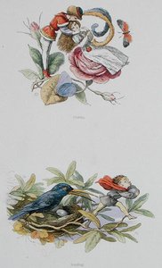 Flirting, e Roubo, ilustrações de 