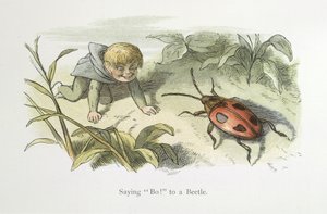 Dizendo não! para um besouro de Richard Doyle
