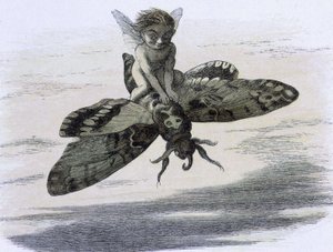 Un elfe chevauchant un papillon. Ilustração de Richard Doyle tiree de "" Na terra das fadas. Uma série de fotos do mundo dos elfos"" acompagnee d