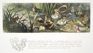Lírios de água e fadas de água de Richard Doyle