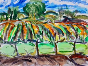 Vinhedos de Outono, Napa, 2017 de Richard Fox