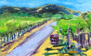 Vinha com Barril, Napa, 2019 de Richard Fox