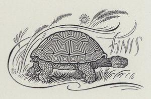 A Lebre e a Tartaruga (gravação) de Richard Heighway