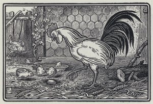 O Galo e a Pérola (gravura)