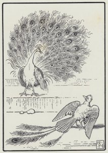 The Jay And The Peacock (gravura)