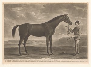 Racepaard conheceu o jóquei Matchem (título no objeto)
