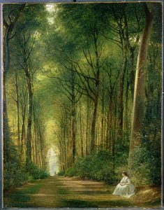 Avenida da faia, Denbies, 1870