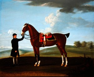 O caçador da baía de Sir John Frederick, 