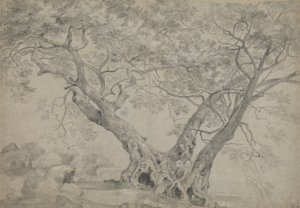 A Arbra Sacra nas margens do Lago Nemi, c.1754-56 (giz preto e branco sobre papel) de Richard Wilson