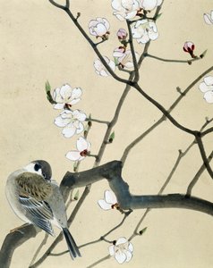 Ave - desenho japonês de Riou Chim, finais do século XIX de Riu Chim