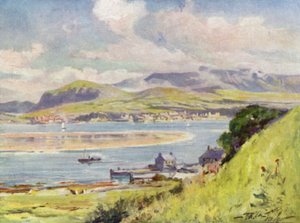Carnarvon, de Anglesey (cor litho) de Robert (after) Fowler