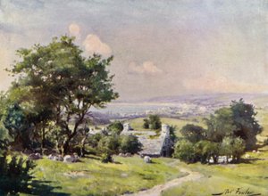 Vista Distante da Baía de Carnarvon (cor litho) de Robert (after) Fowler