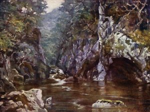 Fada Glen, Bettws-y-Coed (cor litho) de Robert (after) Fowler
