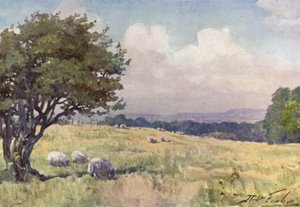 Sunny Field, perto de Llanberis (cor litho) de Robert (after) Fowler