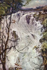 Engolir cachoeiras, Bettws-y-Coed (cor litho) de Robert (after) Fowler
