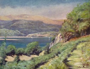 Tempo trovão, perto de Dolgelly (cor litho)